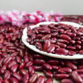 Высокое качество новый урожай 2012 хорошо выбрано красная фасоль на горячей продажи
